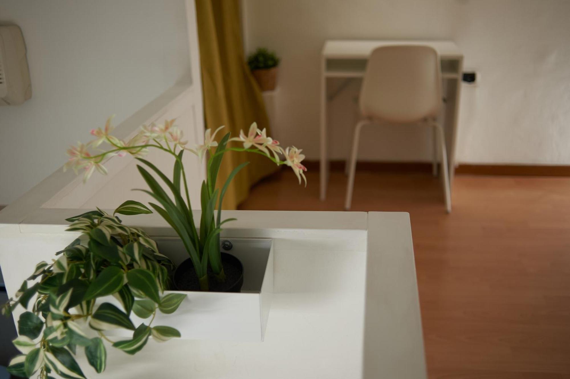Isola Brera Duomo - Antica Atmosfera - Lovable Cozy Apartment Milaan Buitenkant foto